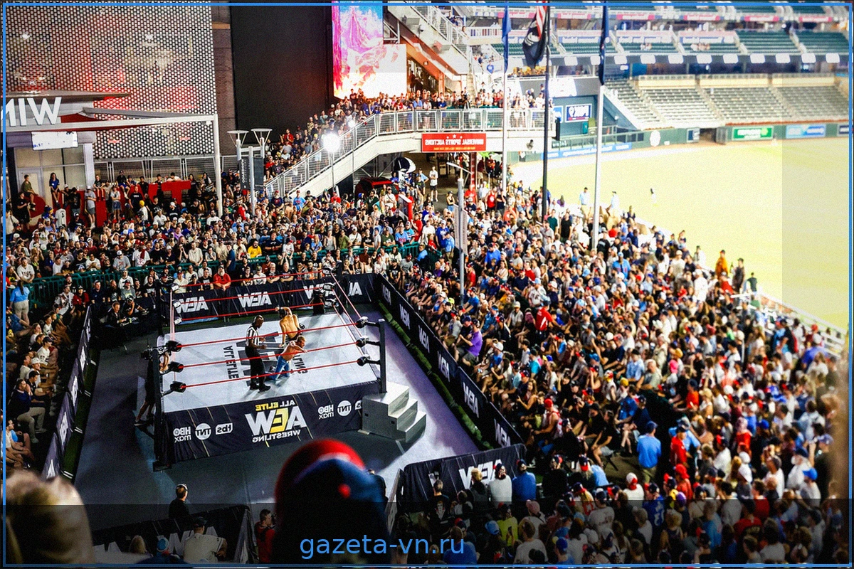 Сын Стинга Стивен Борден получил травму при падении с Кевином Найтом на AEW All Out