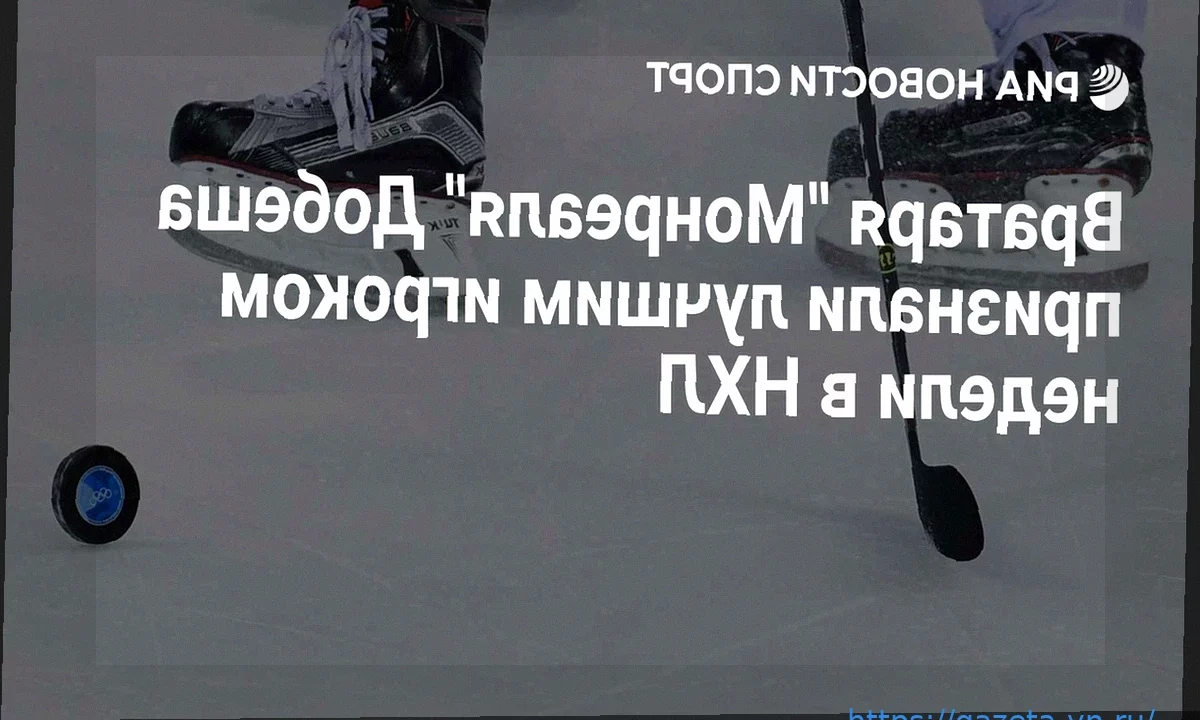 Голкипер «Монреаля» Добеш назван первой звездой недели НХЛ